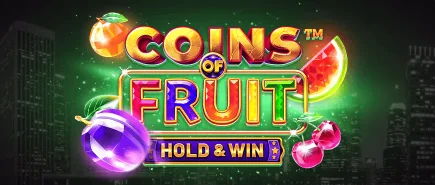 Mr. Forune Casino treasure